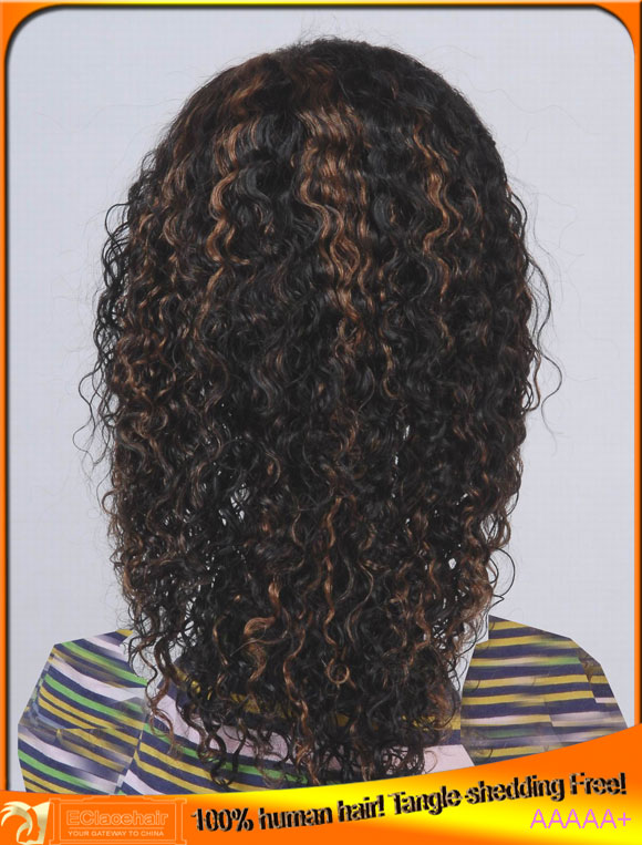 Indian Virgin Human Hair Highlight Lace Front Wig