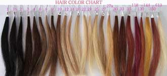 Human hair color chart