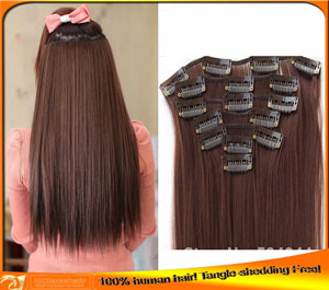 Indian Virgin Human Clip-in Hair Extensions Price