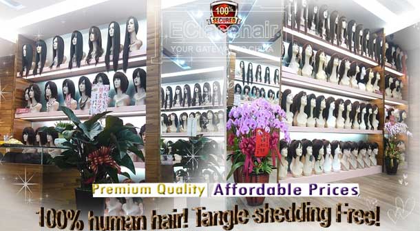 human hair lace wigs store